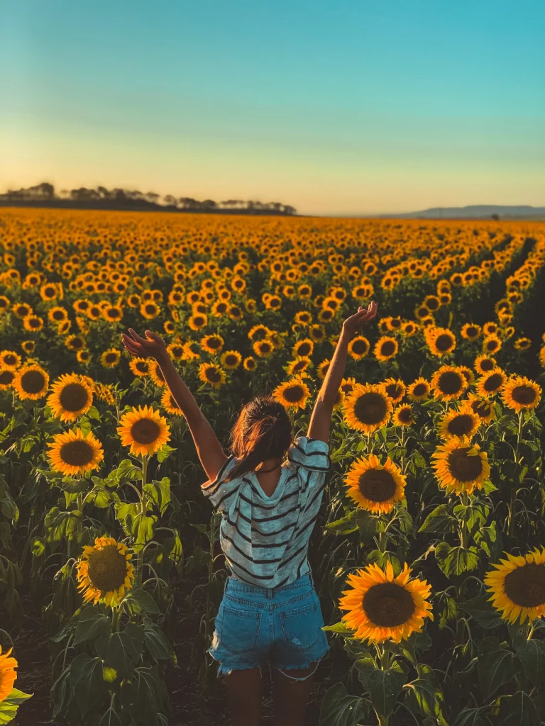 programmation cellulaire Avec Cécile, transformez vos croyances limitantes en pensées positives, grâce à la programmation cellulaire. Perception et Sens, espace bien-être dans le Loiret Centre-Val de Loire
