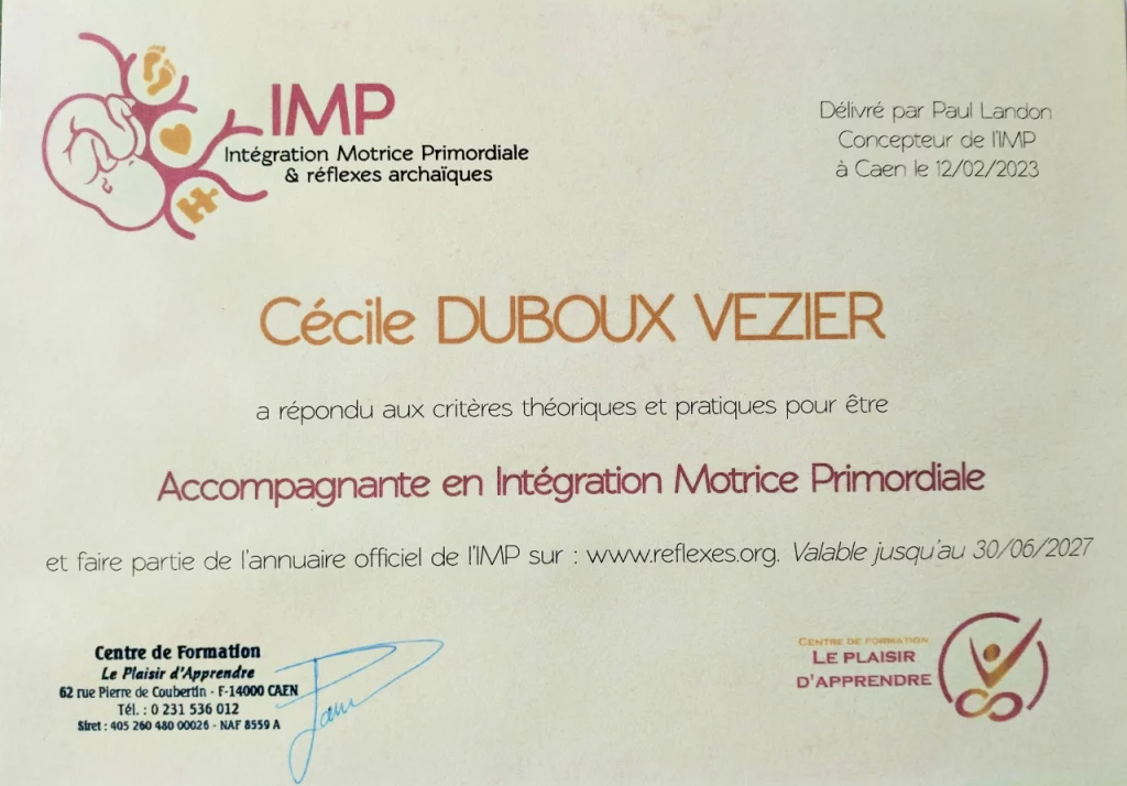 certificat-integration-mouvements-involontaires-archaiques Découvrez comment Cécile, certifiée en intégration des mouvements involontaires, aide enfants et adultes à libérer leur potentiel de mieux-être. Perception et Sens, Espace bien-être dans le Loiret Centre Val-de-Loire.